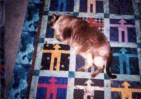 chuckie picture #02