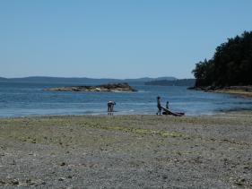 blue herron high tide 9