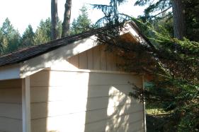 new shed - day 29