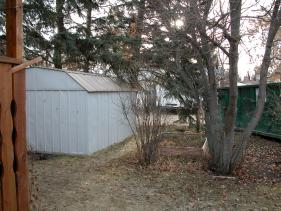 red_deer picture #36