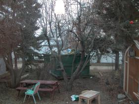 red_deer picture #39