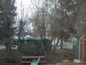 red_deer picture #40