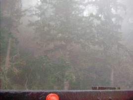 ferry dock - leaving quadra in the fog