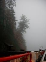ferry dock - leaving quadra in the fog