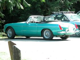 blue herron mg 1