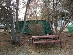 red_deer picture #37