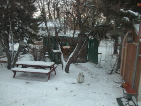 red_deer picture #06