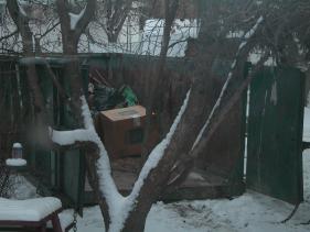 red_deer picture #07