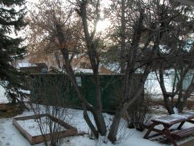 red_deer picture #22