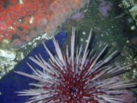 Quadra Island - May 2004