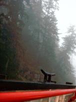 ferry dock - leaving quadra in the fog